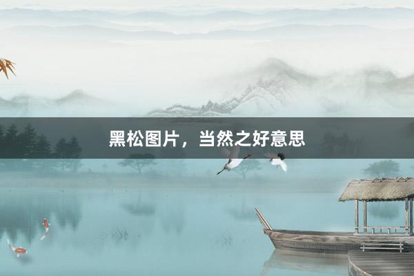 黑松图片，当然之好意思